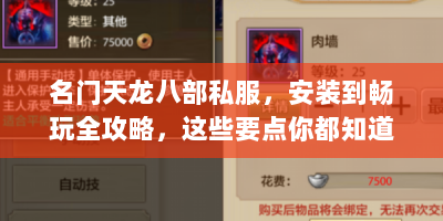 名门天龙八部私服，安装到畅玩全攻略，这些要点你都知道吗？
