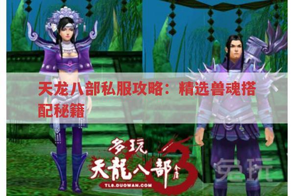 天龙八部私服攻略：精选兽魂搭配秘籍