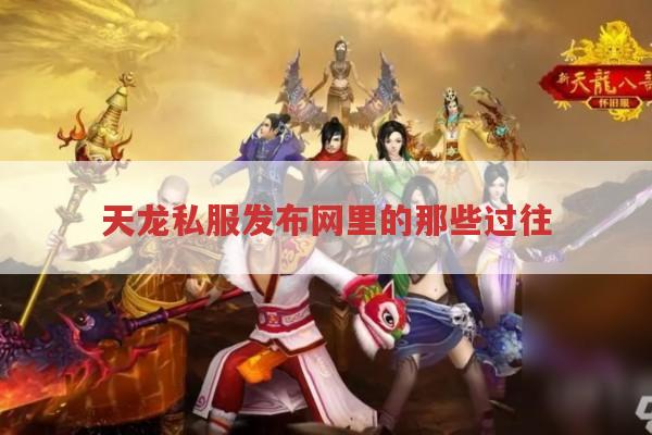 天龙私服发布网里的那些过往