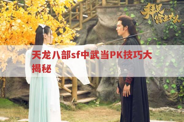 天龙八部sf中武当PK技巧大揭秘,