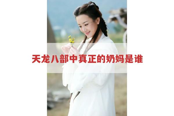 天龙八部中真正的奶妈是谁