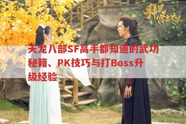天龙八部SF高手都知道的武功秘籍、PK技巧与打Boss升级经验