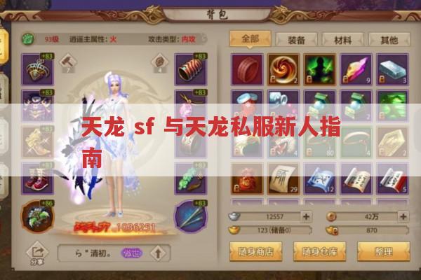 天龙SF与私服新手指南：如何快速上手并避免坑?