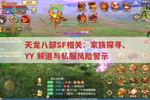 天龙八部SF相关：家族探寻、YY,频道与私服风险警示