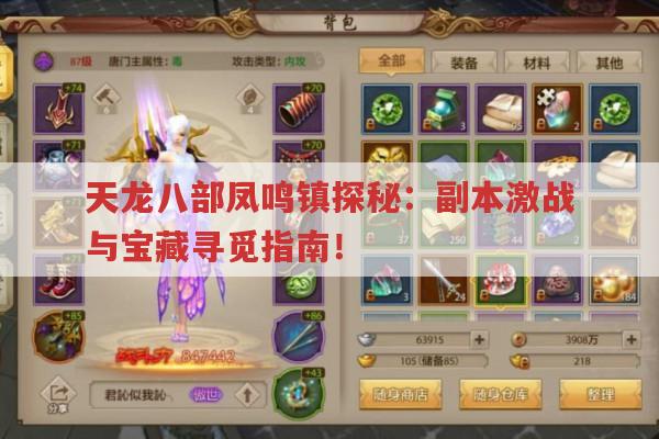 天龙八部凤鸣镇探秘：副本激战与宝藏寻觅指南！