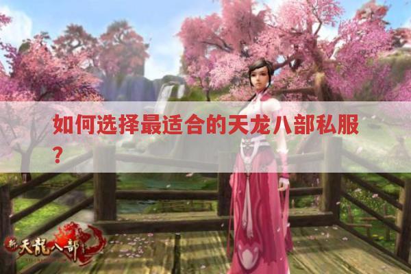 如何选择最适合的天龙八部私服?