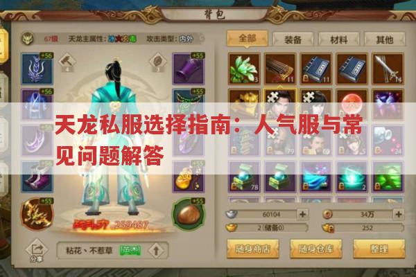 天龙私服选择指南：人气服与常见问题解答