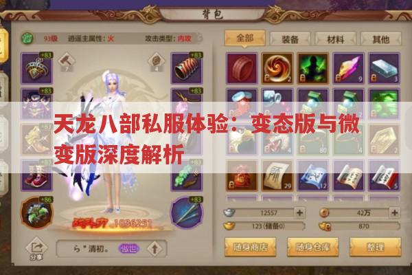 天龙八部私服体验：变态版与微变版深度解析