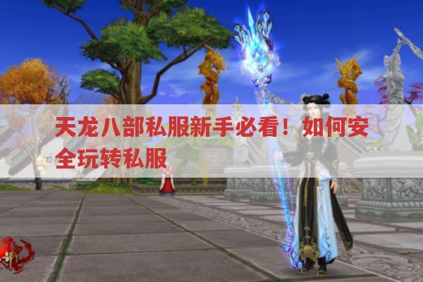 天龙八部私服新手必看！如何安全玩转私服