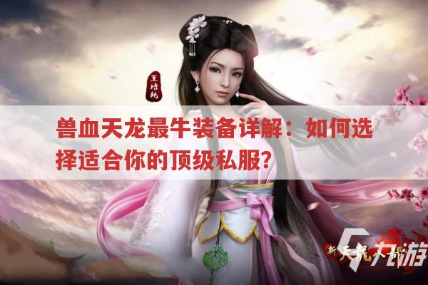 兽血天龙最牛装备详解：如何选择适合你的顶级私服?