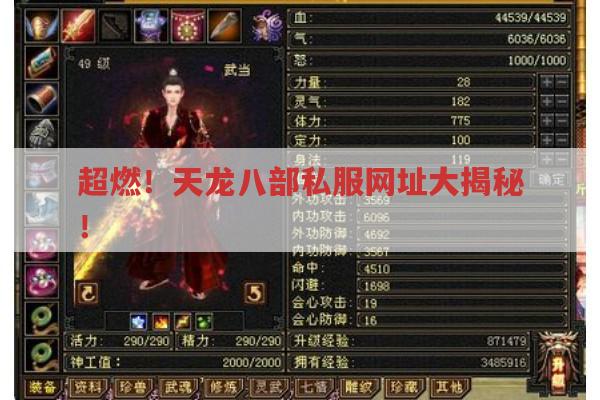 超燃！天龙八部私服网址大揭秘！