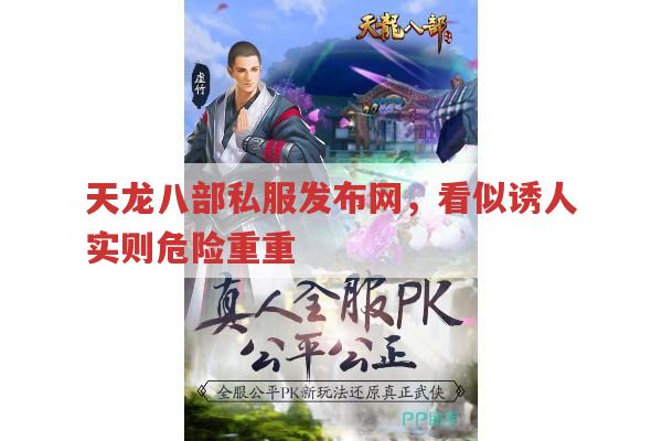 天龙八部私服发布网,诱人背后的重重危险