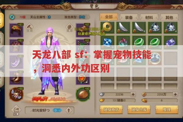 天龙八部sf,内外功宝宝技能搭配与区别