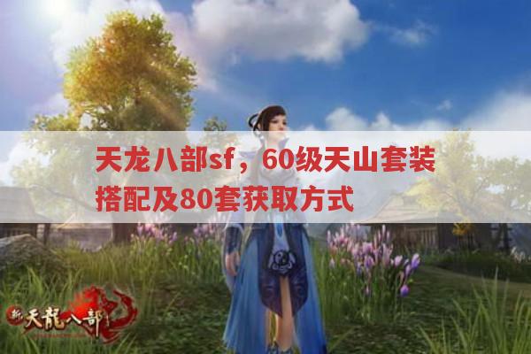 天龙八部sf,60级天山套装搭配及其他装备相关问题