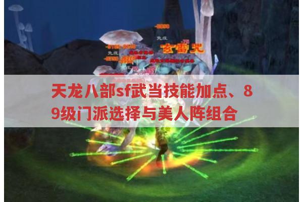 天龙八部私服,武当技能加点、89级门派及美人阵搭配