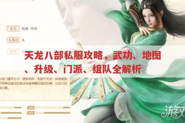 天龙八部sf武功获取、升级及装备搭配全攻略