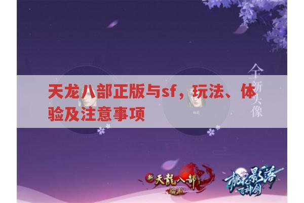 天龙八部正版与sf玩法对比,各有哪些趣味?