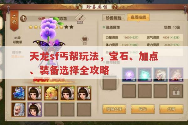 天龙sf丐帮玩法,神器宝石、加点、装备选择全解析