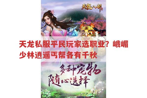 天龙私服平民玩家职业推荐及新手攻略