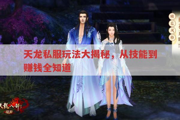 天龙私服玩法全解析,从角色到赚钱的趣味之旅