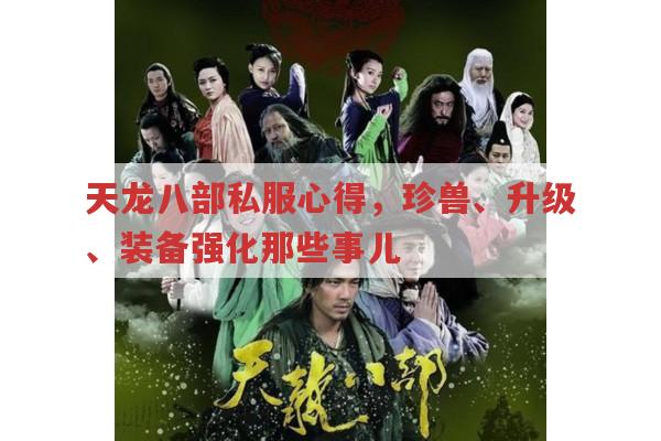 天龙八部私服,珍兽、升级及版本特色全解析