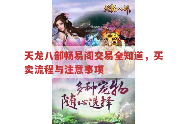 天龙八部畅易阁,交易全流程及相关注意事项