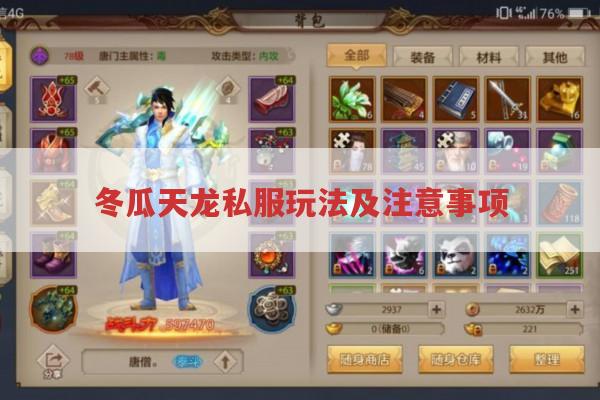 冬瓜天龙私服玩法及防坑指南