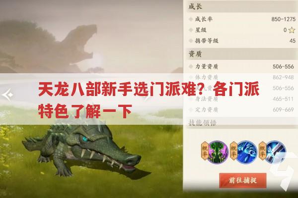 天龙八部新手入门,各门派特色有哪些?