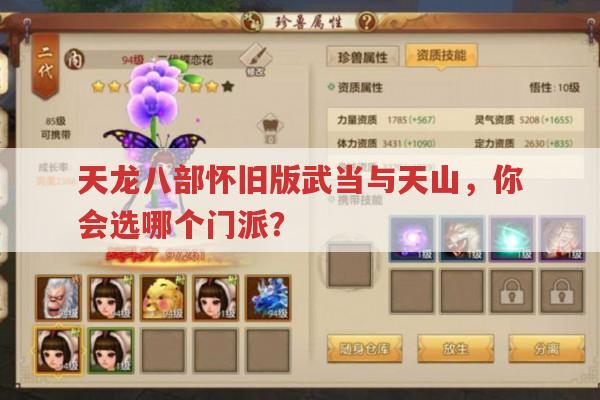 天龙八部怀旧版武当与天山门派对比,你选哪个?