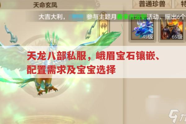 天龙八部私服,峨眉宝石、电脑配置、宝宝选择有何技巧?