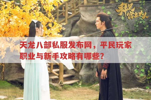 天龙八部私服发布网,各版本新手攻略及平民职业推荐