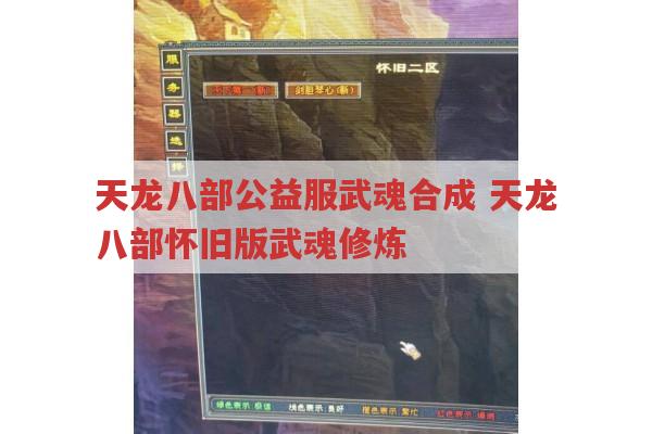 天龙八部公益服武魂攻略,及润魂石消耗,天龙八部sf玩家必看