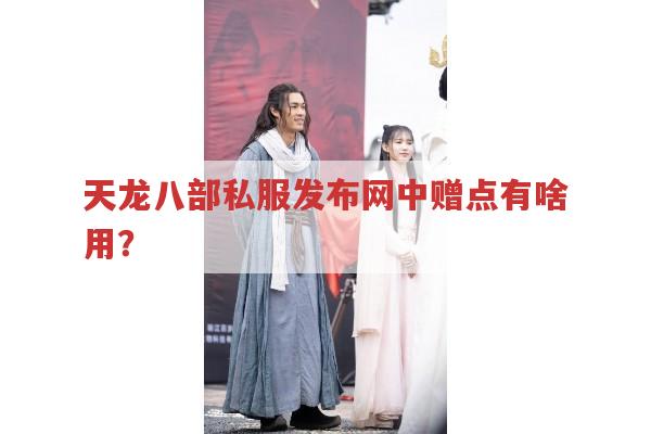 天龙八部发布网,财富卡赠点在游戏中有哪些用途?