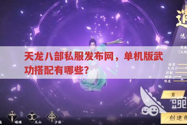 天龙八部私服发布网中有哪些厉害的武功和角色?