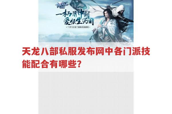 天龙八部私服,各门派技能搭配与门派配合全解析