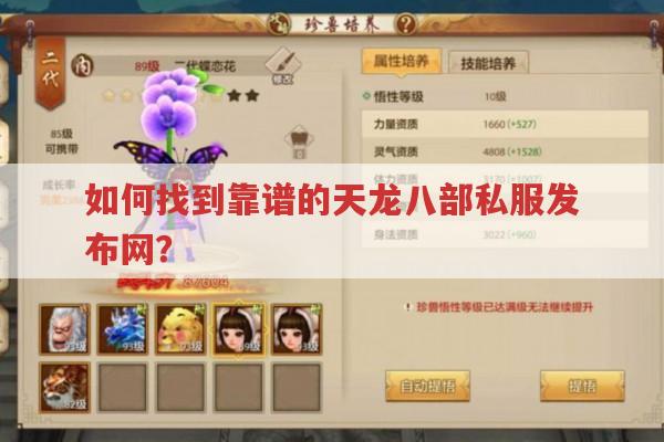 天龙八部私服发布网怎么找?靠谱的天龙sf在哪?