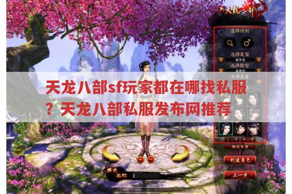 天龙八部sf玩家,天龙八部私服发布网哪个比较好?