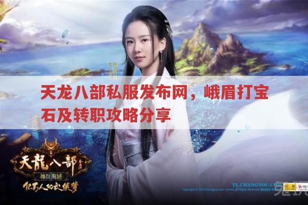天龙sf峨眉宝石镶嵌及转职技巧,天龙八部私服发布网有相关内容吗?