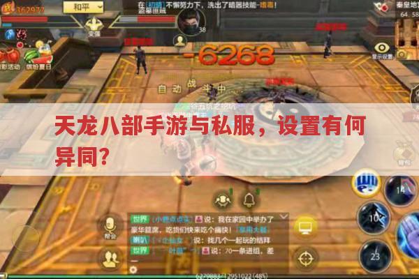 天龙八部私服与手游设置,天龙八部公益服有何不同?