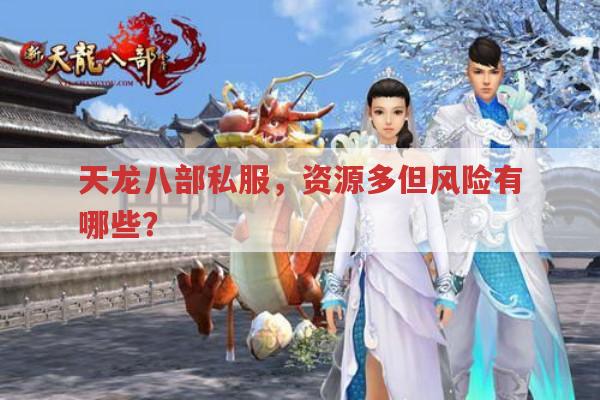 天龙八部私服发布网,有哪些风险与问题?