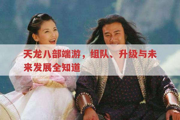 天龙八部端游,组队、升级与未来发展全解析