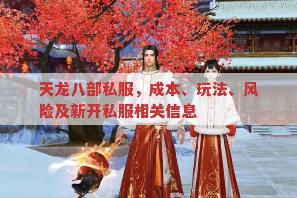 天龙八部私服,搭建、进入与风险全知道