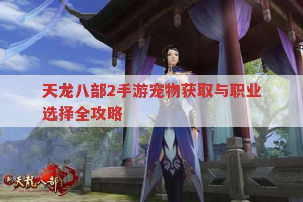 天龙八部2手游,宠物获取与职业选择及玩法全解析