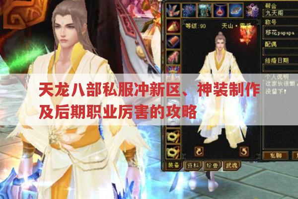 天龙八部sf手游,新区冲级、美人搭配与后期职业
