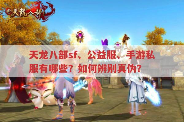 天龙八部私服体验如何?天龙八部公益服、手游sf呢?