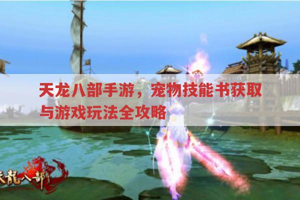 天龙八部手游,宠物技能书获取与玩法攻略