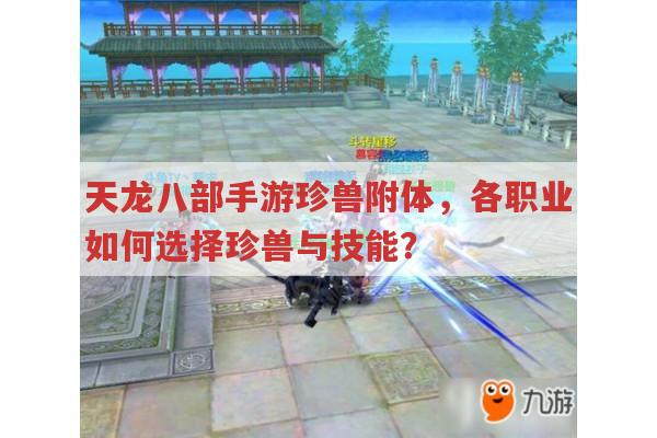 天龙八部手游珍兽附体,技能、珍兽推荐与操作