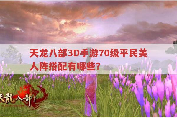天龙八部3D手游70级平民美人阵组合有哪些?