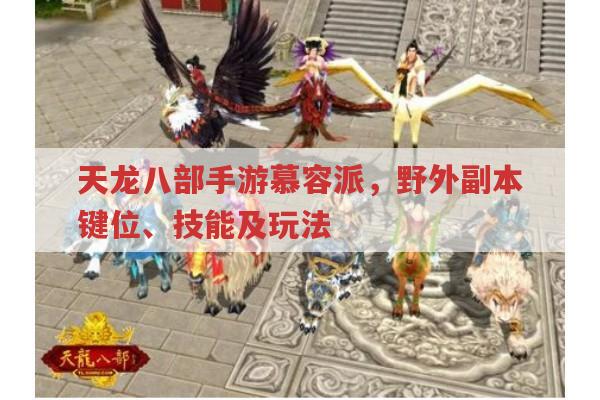 天龙八部手游慕容派,野外副本键位与技能玩法