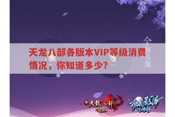 天龙八部不同版本VIP等级消费情况是怎样的?